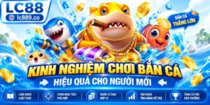 Kinh Nghiệm Chơi Bắn Cá Hiệu Quả Cho Người Mới